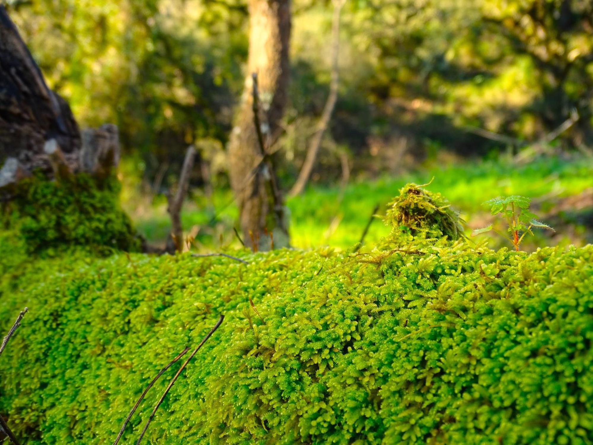 Herdade Vale De Gaios By Stay In Alentejo 圣路易斯 外观 照片