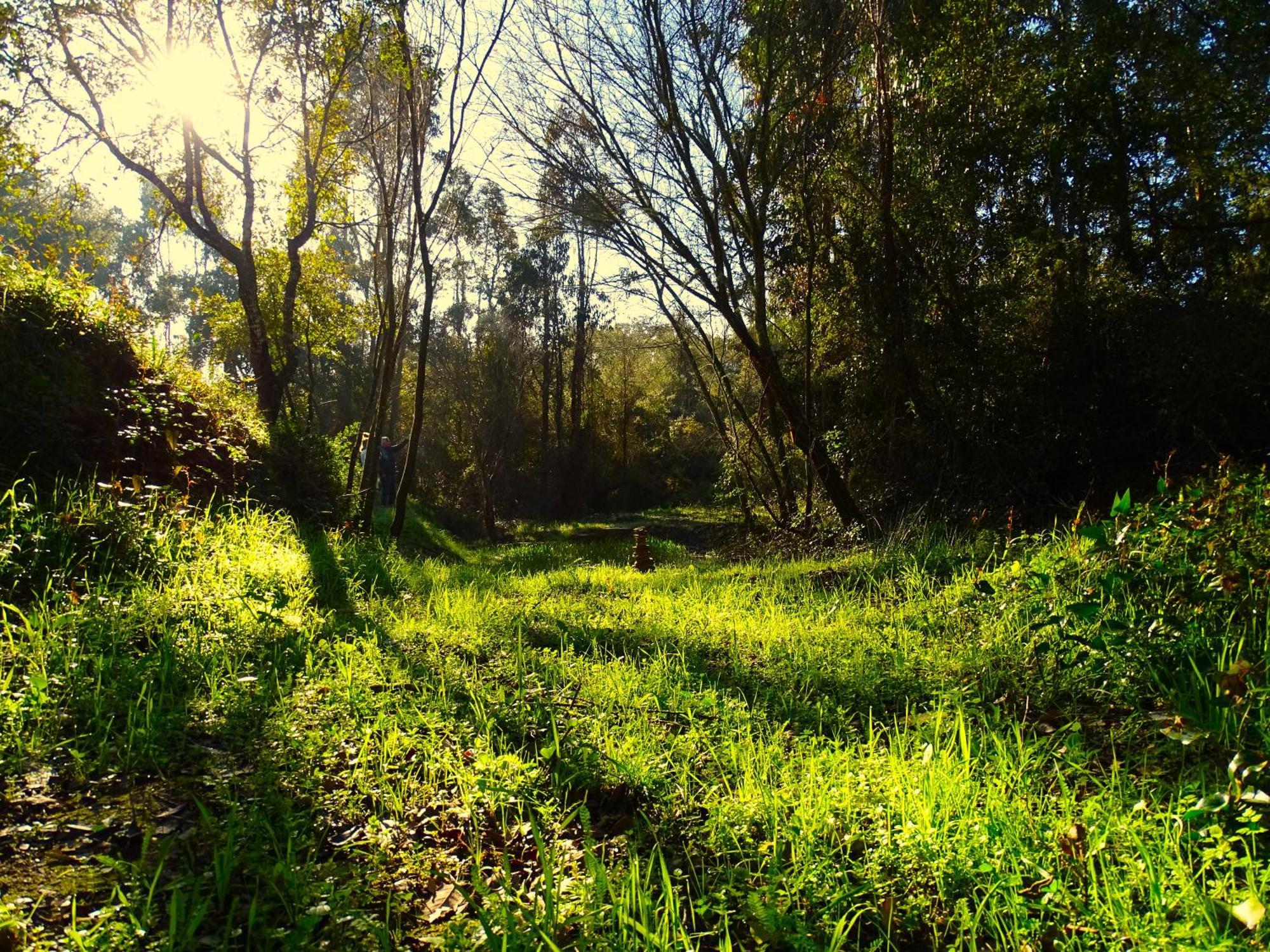 Herdade Vale De Gaios By Stay In Alentejo 圣路易斯 外观 照片