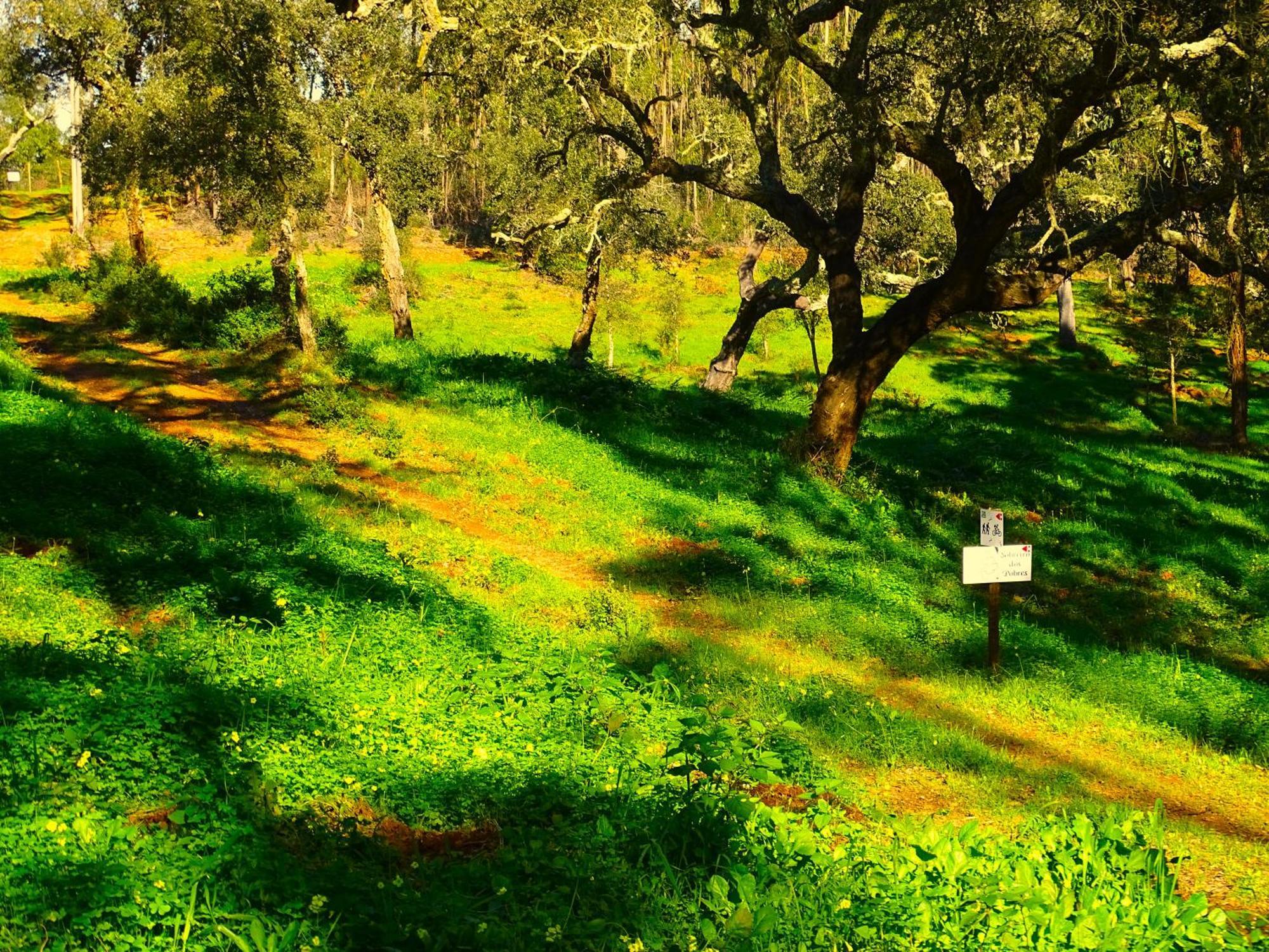 Herdade Vale De Gaios By Stay In Alentejo 圣路易斯 外观 照片