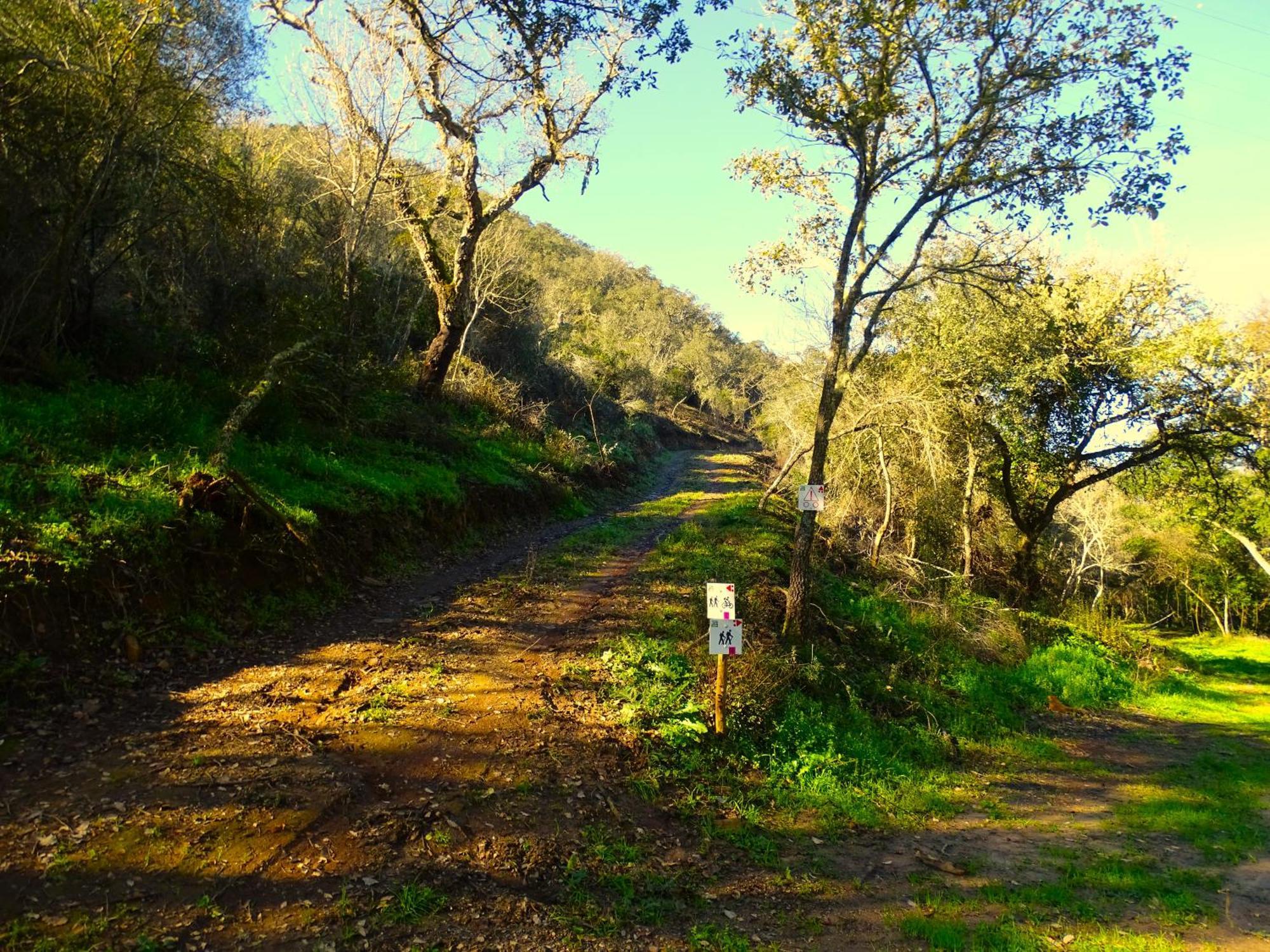 Herdade Vale De Gaios By Stay In Alentejo 圣路易斯 外观 照片